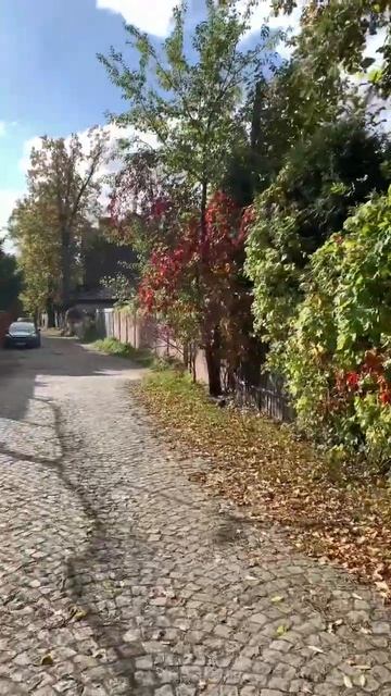 Только в Калининграде полюбила ходить Пешком!.. ☘️😊💃🚶♂️🍁🍁🍂🍃 смотреть онлайн