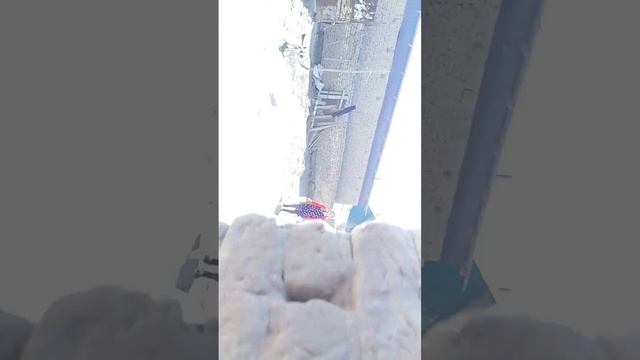 Ходжейли. Мясо комбинат смотреть онлайн