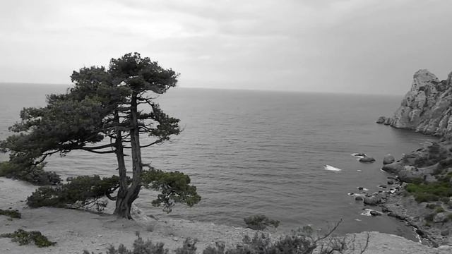 На прогулке в пасмурный день. смотреть онлайн