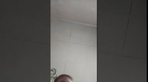 Костя шоу