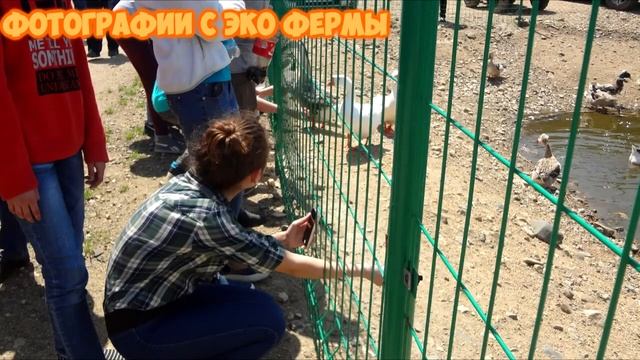 Экскурсия по Славянке))) смотреть онлайн