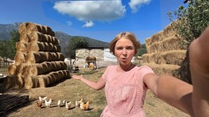 НАМ ПРИВЕЗЛИ ТОННУ СЕНА! Показываю обычный фермерский двор в Турции. Жизнь в глухой горной деревне