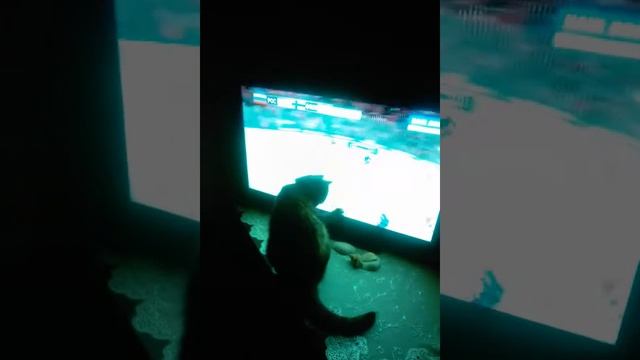 Котик болеет за Россию Фины берегитесь смотреть онлайн