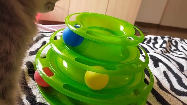 Зелёная игрушка смотреть онлайн