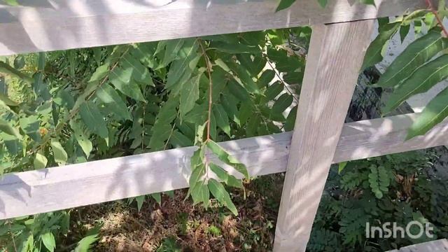 Крепость Алустон моими глазами . Я смогла оторвать себя от моря ! смотреть онлайн