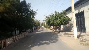 Фергана сегодня Киргили кулацкий поселок