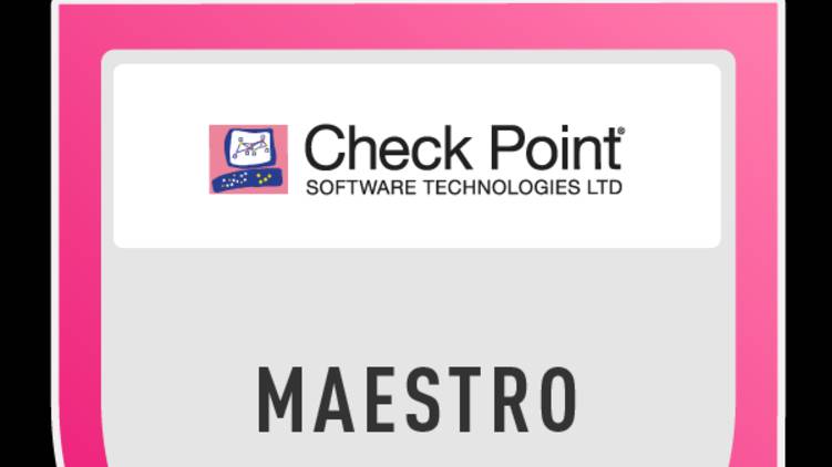 3. Maestro Migrations and Upgrades July 2024