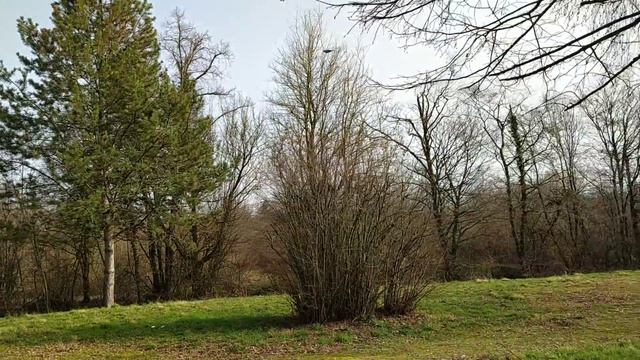 Февраль во Франции. Дорога N67, северо-восток Франции. смотреть онлайн