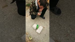 компоненты ппу для заливки ульев