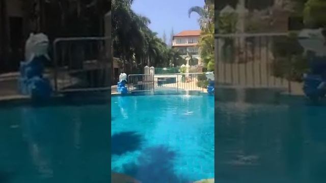 prado club su Бассейн смотреть онлайн