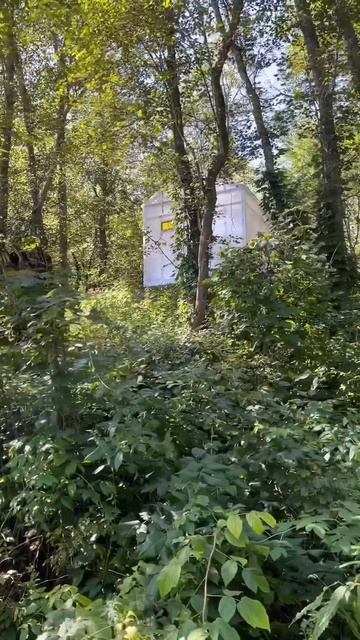 Про отдых в арт-усадьбе Веретьево. Полный отзыв в моем блоге инстаграм 🧡✨