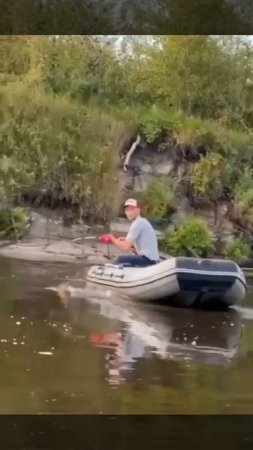 Утро на рыбалке обещает быть интересным 🎣👋😊