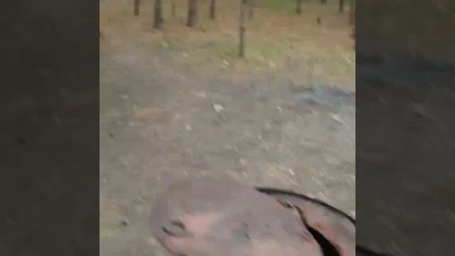 Поездка на острова. смотреть онлайн