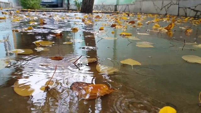 красивая осень смотреть онлайн