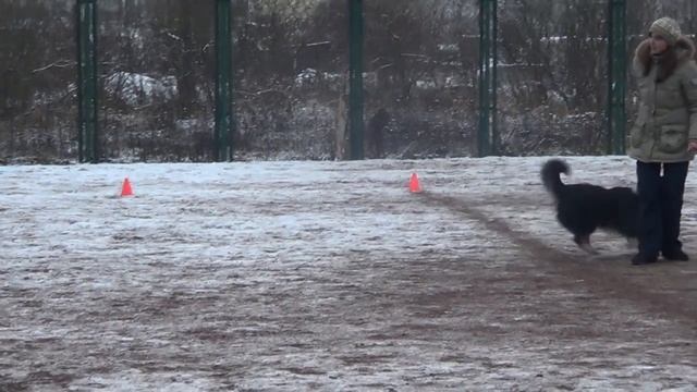 Хаку фризби дарц в красном селе 23.11.14 смотреть онлайн