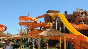 Шарм Эль Шейх. Отель: Albatros aqua blu resort..