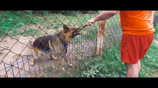 ПУТЯТИН 2024 смотреть онлайн