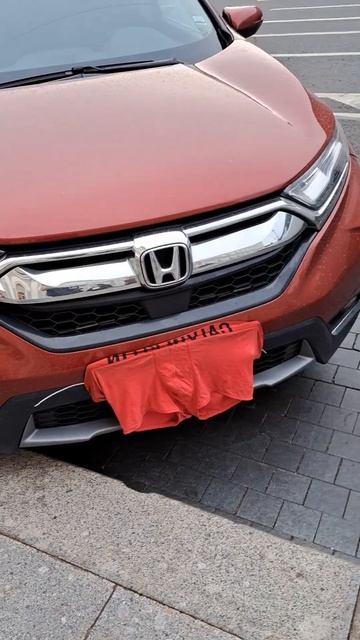 гостиница Октябрьская смотреть онлайн