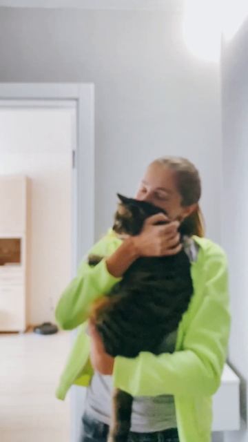 Ох уж эта кошка 🐈😏😂 смотреть онлайн