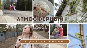 Весенняя прогулка с дочкой и мои откровения
