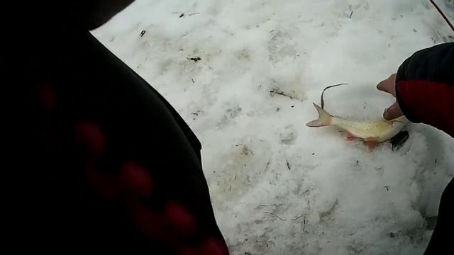 СЕМЕЙНЫЕ ВЫХОДНЫЕ И СОБАКА С НАМИ!!! смотреть онлайн