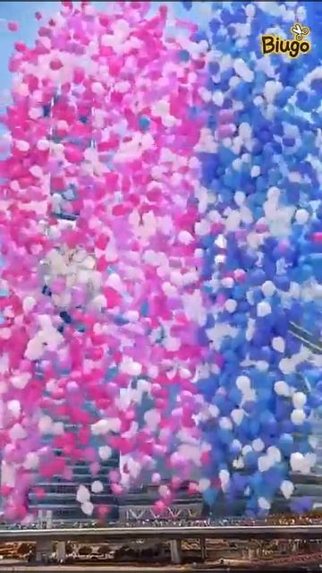 Приморский край Уссурийск смотреть онлайн