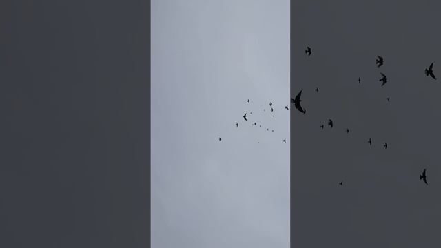 1 января 2021 г. смотреть онлайн