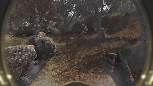 S.T.A.L.K.E.R НЛС-7 Я Меченый! #35 Первый заход в Рыжий лес и Регистраторы для Круглова смотреть онлайн