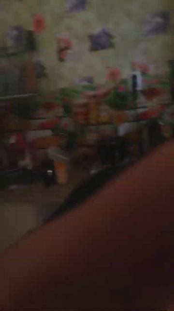 Остановились в частных бунгало в Должанке!!@ смотреть онлайн