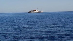 Крым. Приветное. Чёрное море. 08.06.2024 год.