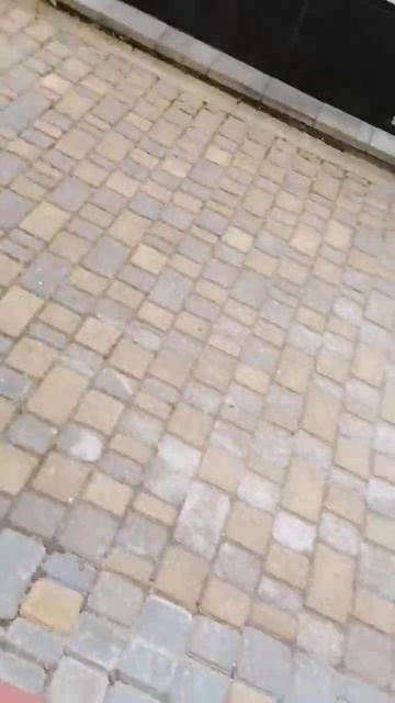 Приехали в кафе. #видеоблог #кафе смотреть онлайн