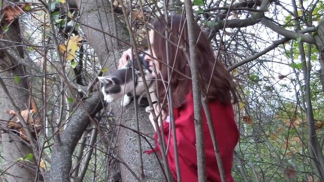 Фотосессия\\Кошка берёт меня с собой??\\Что-то пошло не так!!! смотреть онлайн