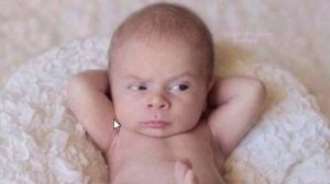 Детики и котики. Самое смешное !