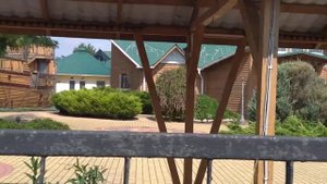 21.07.2023 Крым. Заозёрное. Собаки в свободном окарауливании)