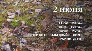 Погода на 1, 2  3 июня