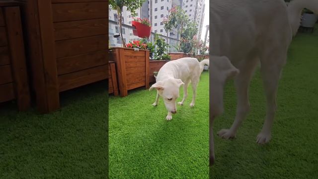 Горе рыбак 😅 смотреть онлайн