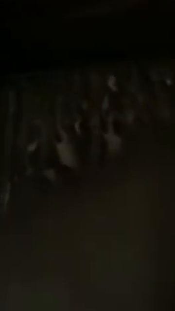 Уборка. После пожара ч 2