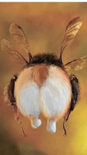 Всегда есть второй шанс 😊 😊 😊