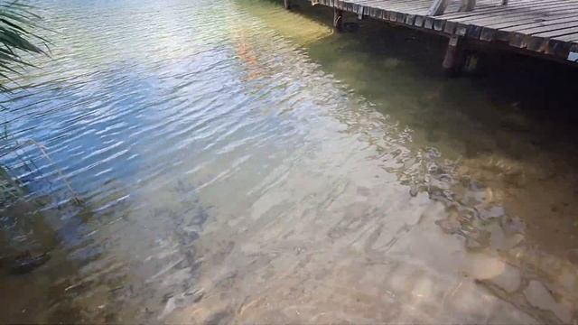 [Жизнь в Литве] После Бури поехали на ЗЕЛЁНЫЕ ОЗЁРА #lithuaniavlog смотреть онлайн