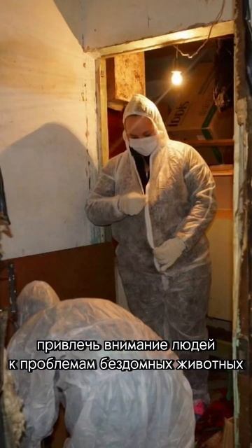 5 основных миссий работы котокафе: