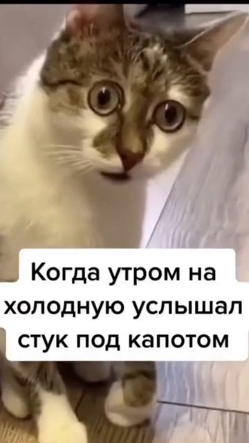 Когда утром услышал звук под капотом смотреть онлайн