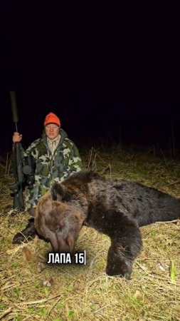 Встреча с гризли 🐻 #охотник #охота #охотанамедведя #гризли