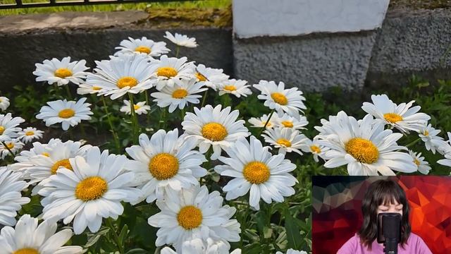 - Я не твой муж, а ты не Лиза, прости меня - жена оторопела, услышав в палате эти слова от мужа... смотреть онлайн