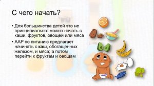 Введение прикорма