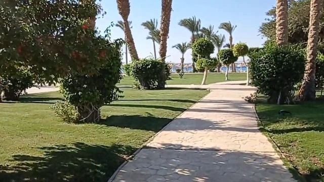 The best resort of Hurgada! Piramissa Sahl Hasheesh🏖️Пирамисса Сахл Хашиш!Пляж, бассейны, территори