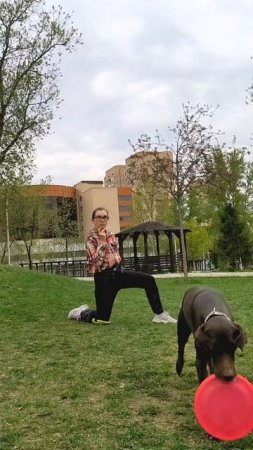 Спортивный Метис Нэтта - вольт от колена