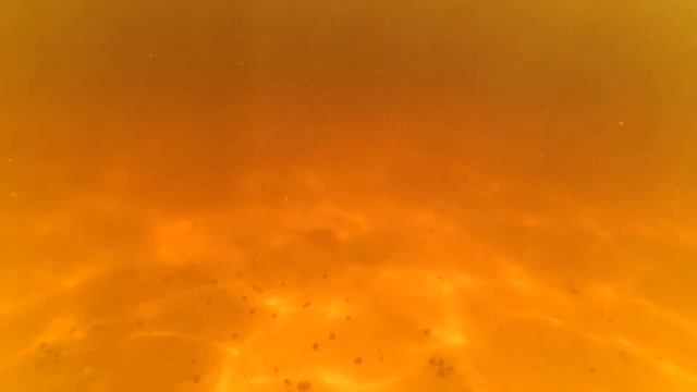 Поездка на Волгу смотреть онлайн