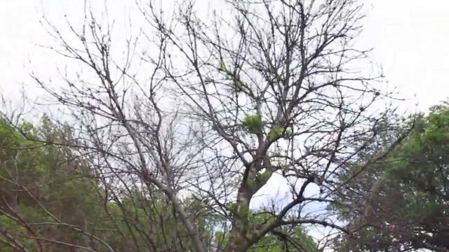 Кисловодск. Ул.Московская, Нарзанный бювет на ул.Желябова, закрытый подземный переход...20.05.2023 смотреть онлайн