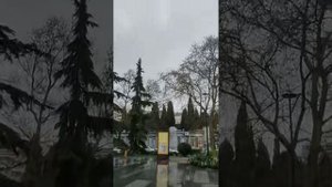 «Пушистые проводники по заповедной тишине»