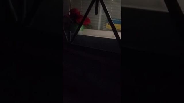 Пьяная жесть - гендель "РАНДЕВУ" под окнами жильцов! смотреть онлайн